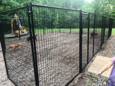 outdoor-run-for-boarded-dogs