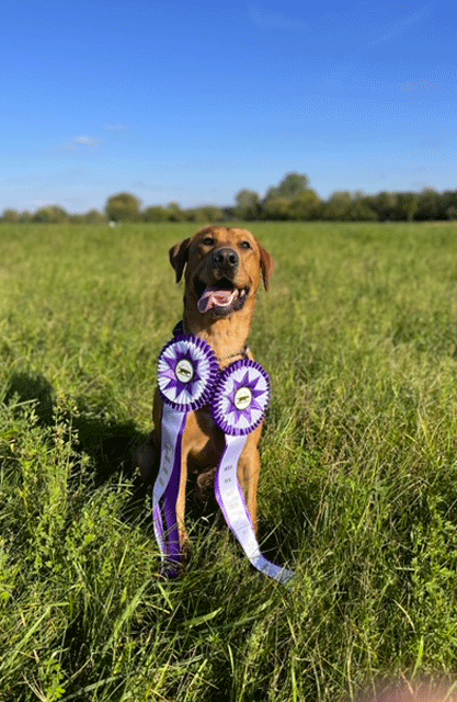 north-with-2-medals-around-neck