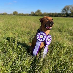 north-with-awards-in-upland-field