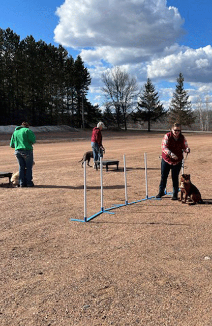 dogs-in-group-training-session-with-owners-medford-wi